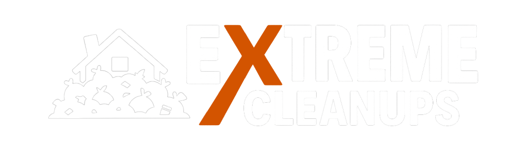 Extreme Cleanups